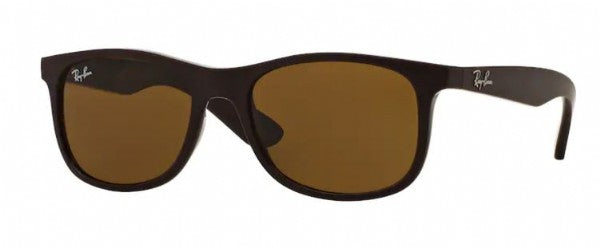 Ray-Ban Junior Matte Brown/ Brown