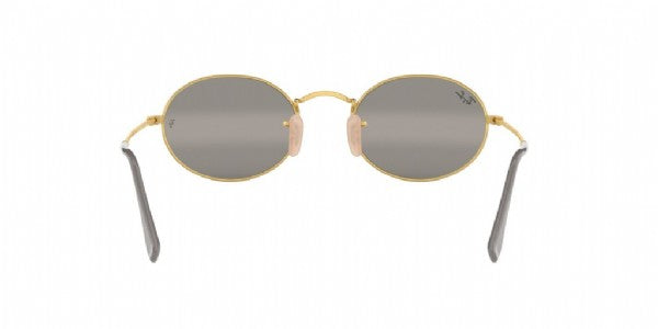 Ray-Ban Round Shape Gray Gold / Gray Gradient