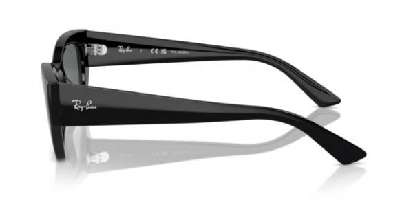 Ray-Ban Zena Black/ Dark Grey