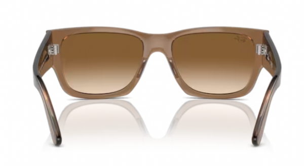 Ray-Ban Carlos Transparent Light Brown/ Light Brown Gradient