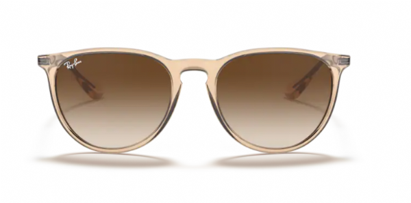 Ray-Ban Erika Transparent Light Brown/ Dark Brown Gradient