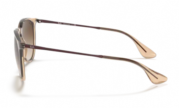 Ray-Ban Erika Transparent Light Brown/ Dark Brown Gradient