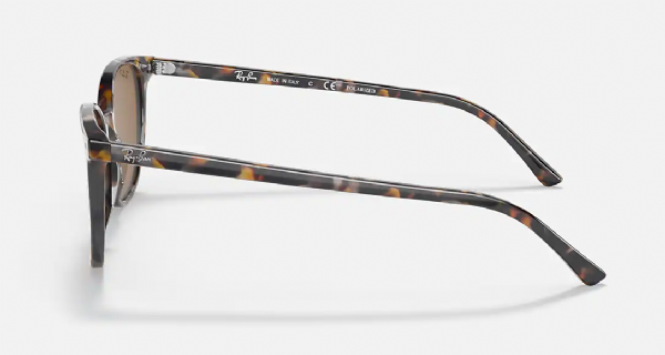 Ray-Ban Elliot Havanna Braun Grau/Braun Polarisiert