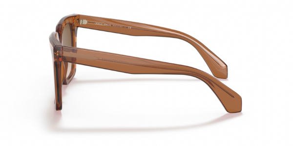 Giorgio Armani 8156 Transparent Brown/ Clear Gradient Brown