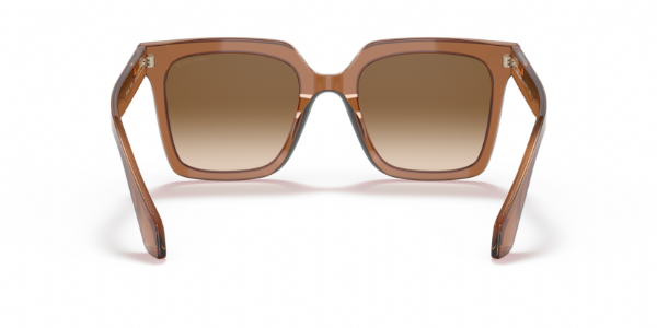 Giorgio Armani 8156 Transparent Brown/ Clear Gradient Brown