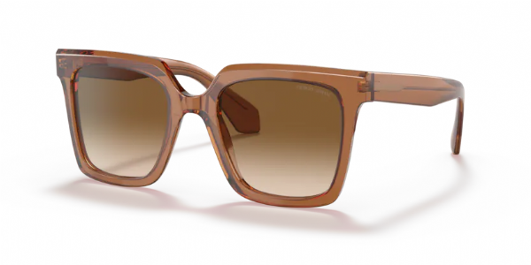Giorgio Armani 8156 Transparent Brown/ Clear Gradient Brown