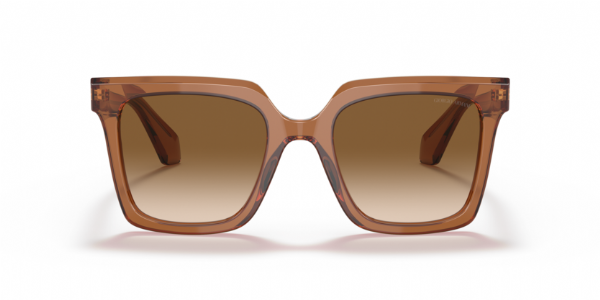 Giorgio Armani 8156 Transparent Brown/ Clear Gradient Brown