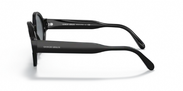 Giorgio Armani AR 903M Polished Black/ Blue Photochromic