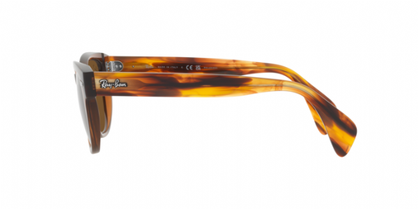 Ray-Ban RB0880S Transparent Brown/ Brown Polarized
