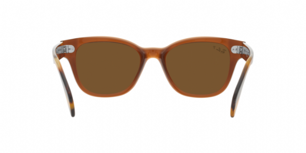 Ray-Ban RB0880S Transparent Brown/ Brown Polarized