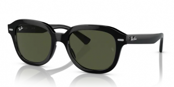 Ray-Ban Erik Black/ Green