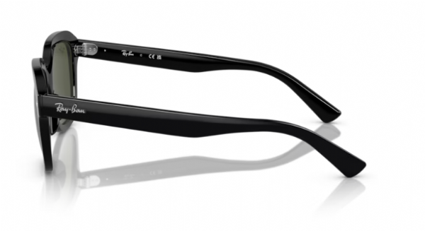 Ray-Ban Erik Black/ Green