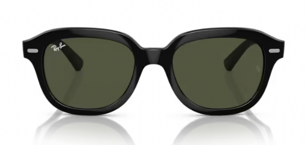 Ray-Ban Erik Black/ Green