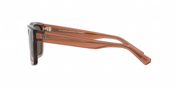 Ray-Ban Warren Transparent Brown/ Dark Green Polarized