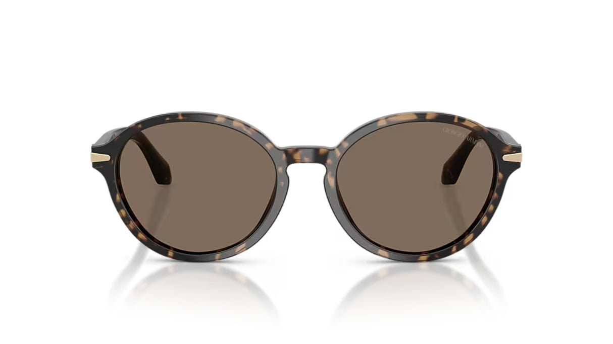 Giorgio Armanie 8237 Havana Beige Brown voorzijde