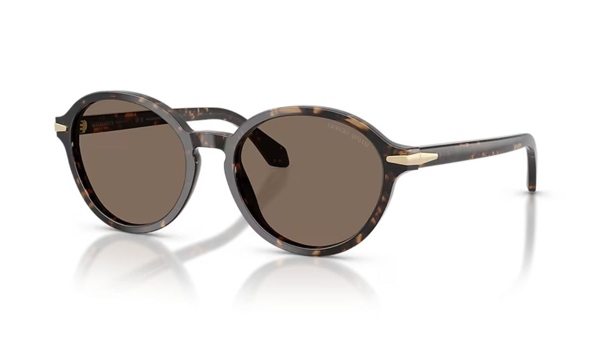 Giorgio Armanie 8237 Havana Beige Brown