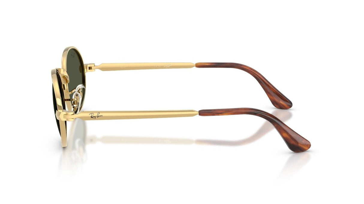 Ray-Ban-3931-BY-A_AP-ROCKY-Arista-Polar-Green-Zijaanzicht