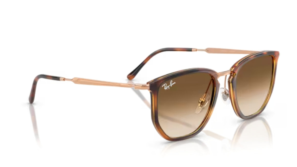 Ray-Ban Transparant Orange/ Gradient Brown