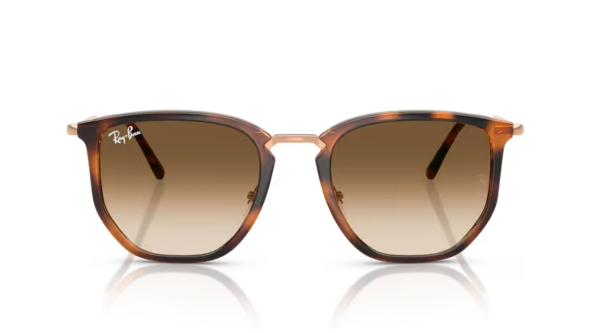 Ray-Ban Transparant Orange/ Gradient Brown