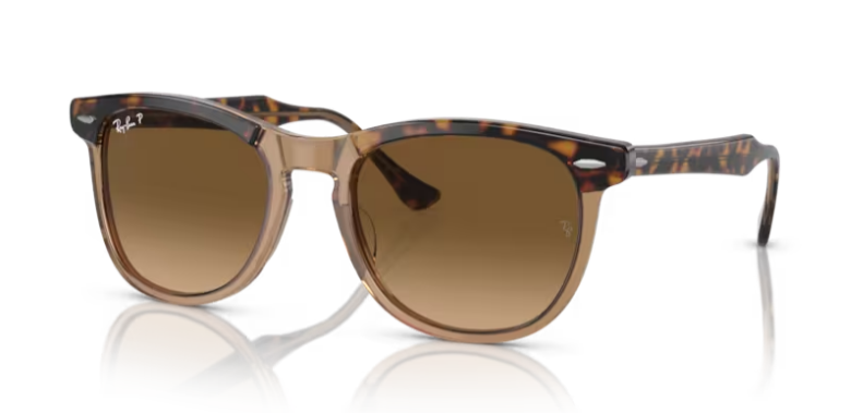 Ray-Ban Eagleeye Havana on Transparant Brown/ Brown Gradient Polarized