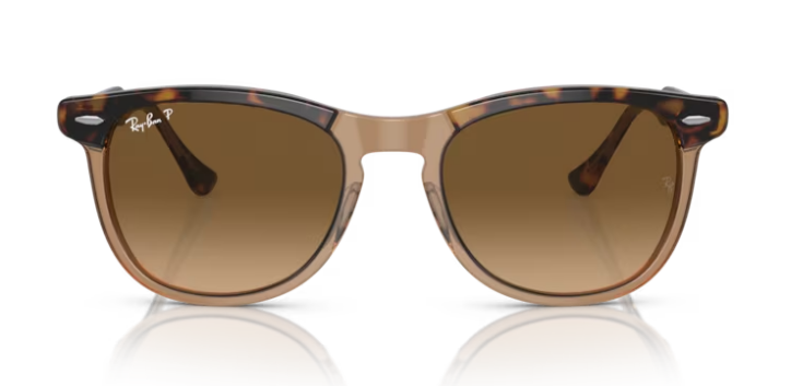 Ray-Ban Eagleeye Havana on Transparant Brown/ Brown Gradient Polarized