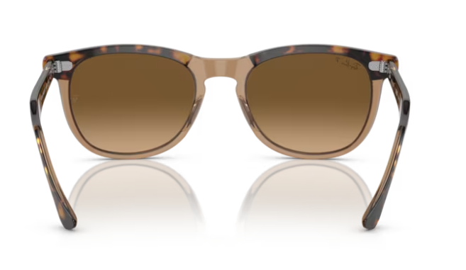 Ray-Ban Eagleeye Havana on Transparant Brown/ Brown Gradient Polarized