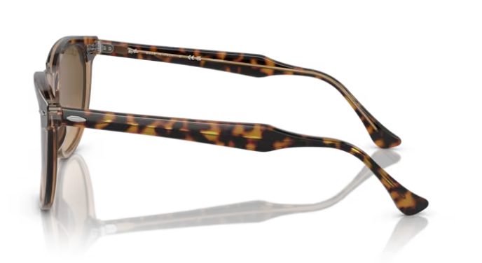 Ray-Ban Eagleeye Havana on Transparant Brown/ Brown Gradient Polarized