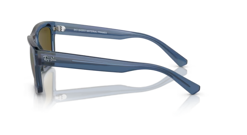 Ray-Ban Warren Transparent Dark Blue/ Dark Brown