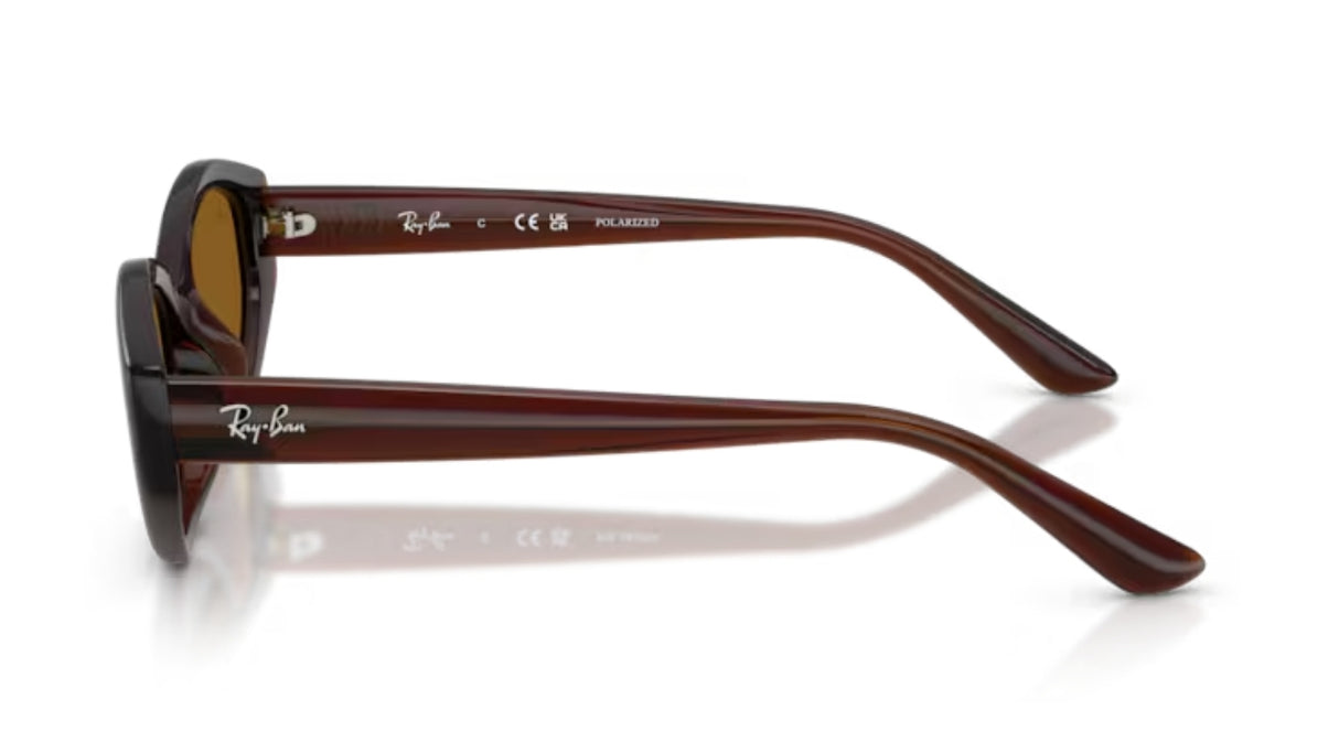 Ray-Ban 4473D Dark Brown/ Dark Brown Polarized