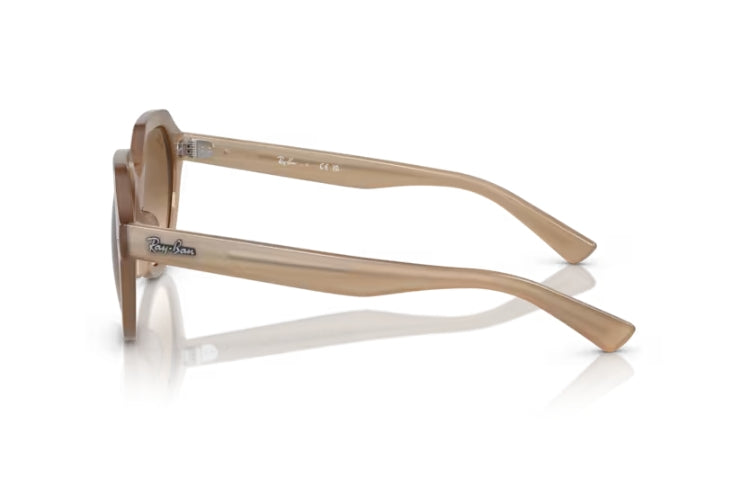 Ray-Ban Gina Tortledove/ Clear Gradient Brown2