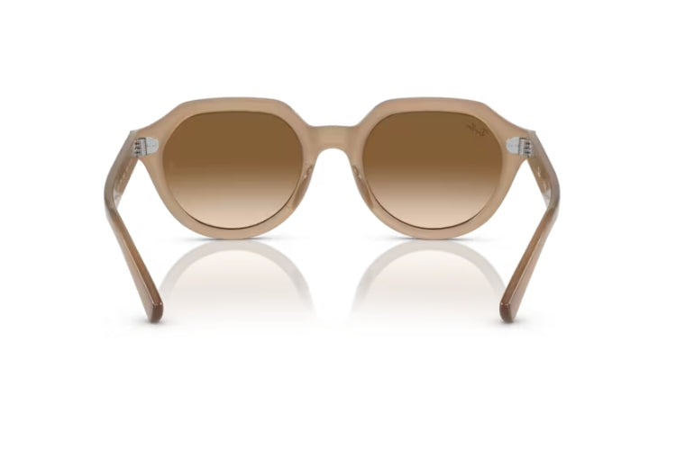 Ray-Ban Gina Tortledove/ Clear Gradient Brown3