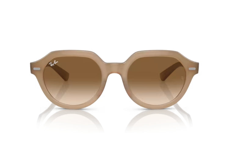 Ray-Ban Gina Tortledove/ Clear Gradient Brown4