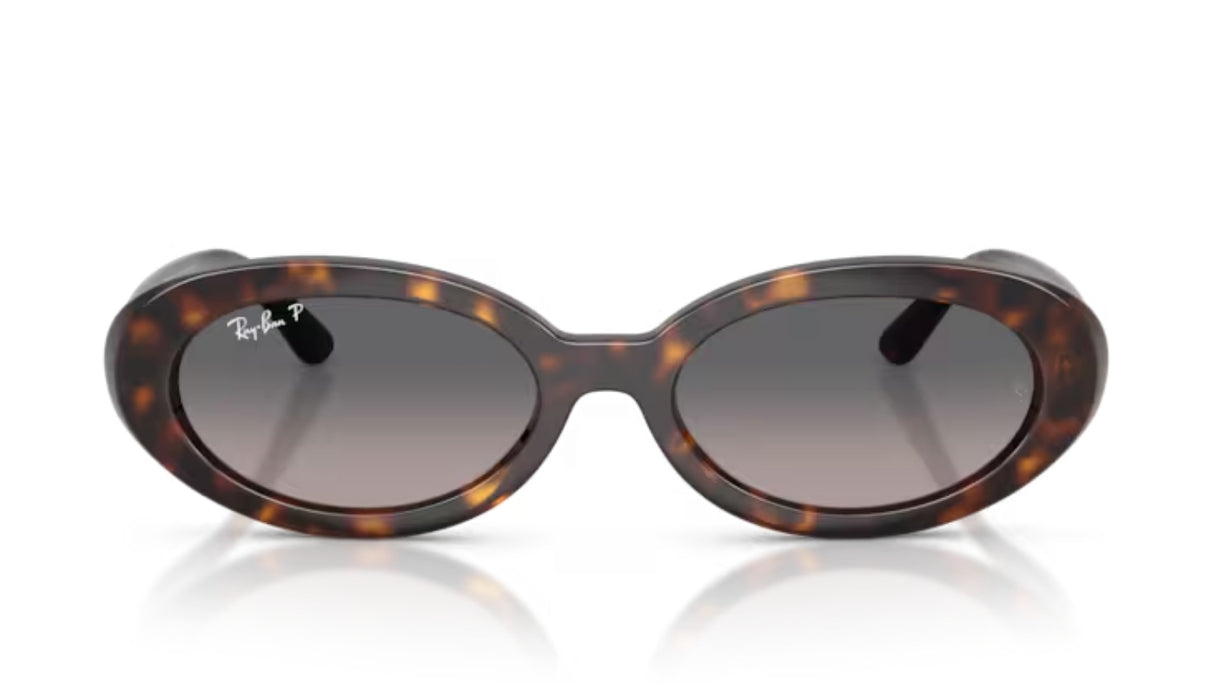 Ray-Ban 2223 Havana/ Grey Gradient Polarized