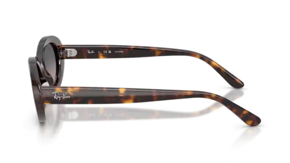 Ray-Ban 2223 Havana/ Grey Gradient Polarized
