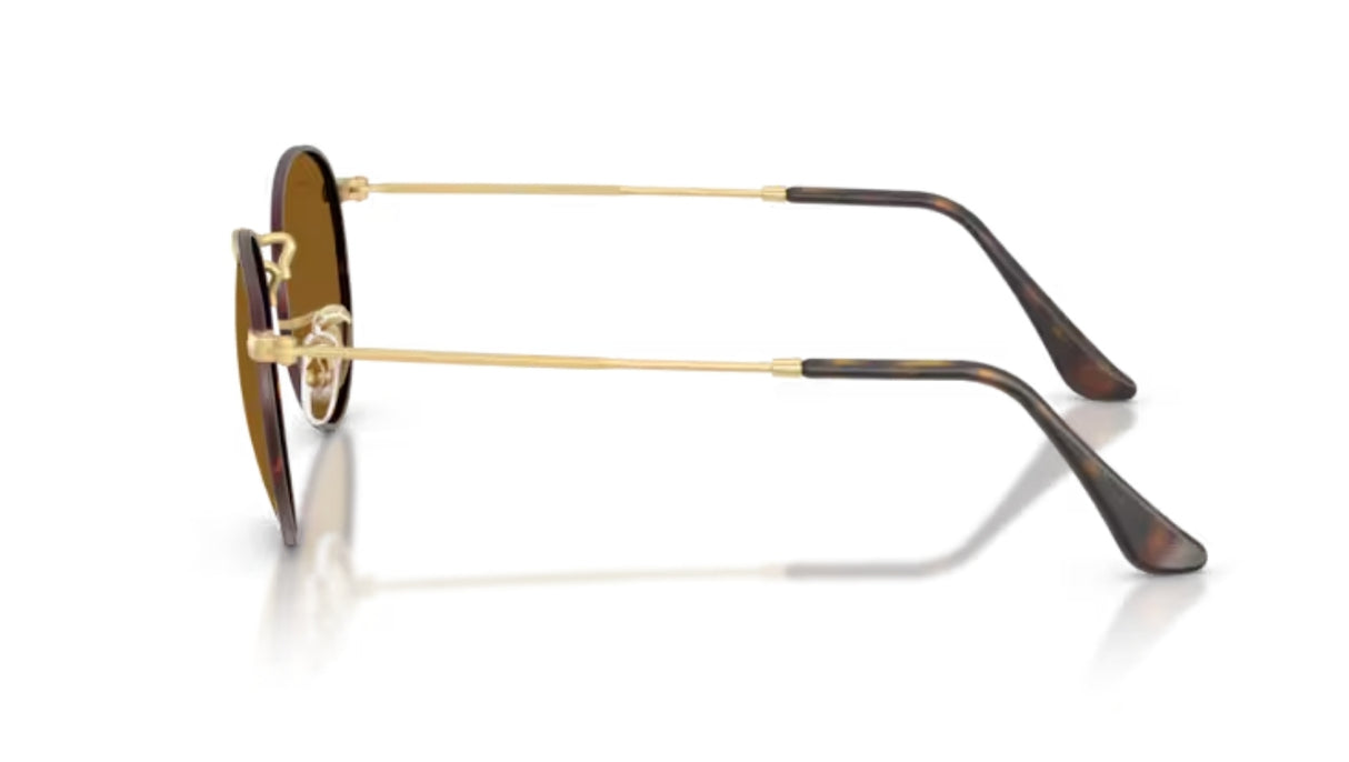 Ray-Ban Round Metal Mat Havanna on Matte Arista/ Brown