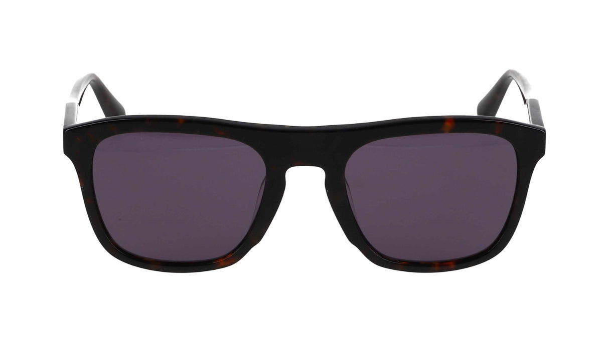 Scotch & Soda SS8037 Gloss Dark Tortoise/ Blue Smoke