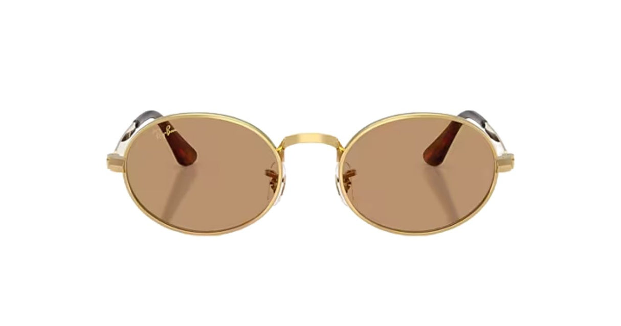 Ray-Ban-rb3931-arista-brown-02