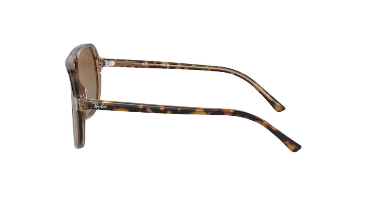 ray-ban-junior-bill-havana-tranparent-brown-grey-gradient-brown-polarized-04