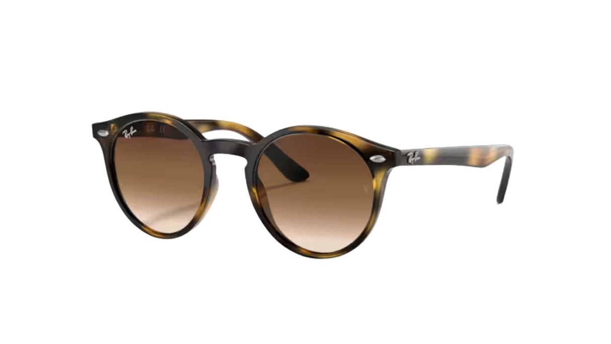 9064S-havana-brown-gradient-dark-brown-01