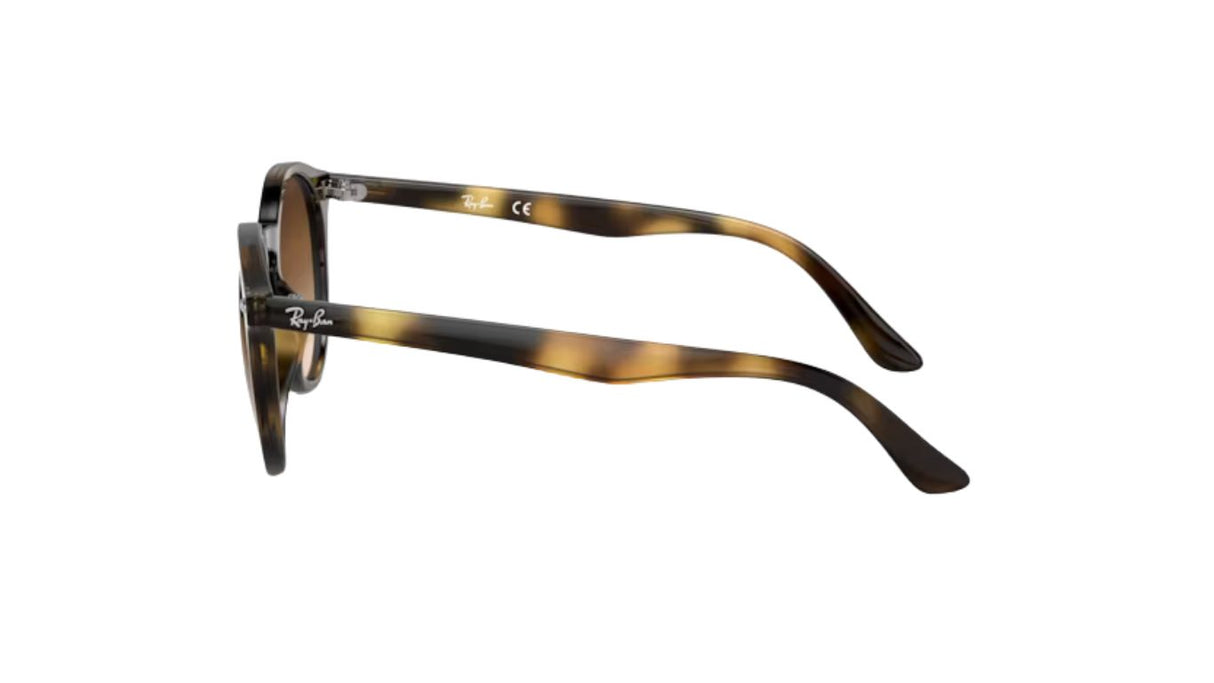 9064S-havana-brown-gradient-dark-brown-03