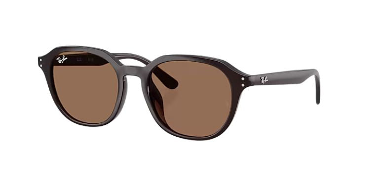 Ray-Ban-4459D-Opal-brown-dark-brown-01
