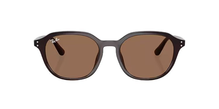Ray-Ban-4459D-Opal-brown-dark-brown-02
