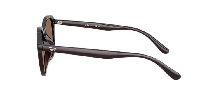 Ray-Ban-4459D-Opal-brown-dark-brown-04