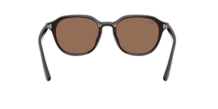 Ray-Ban-4459D-Opal-brown-dark-brown-03