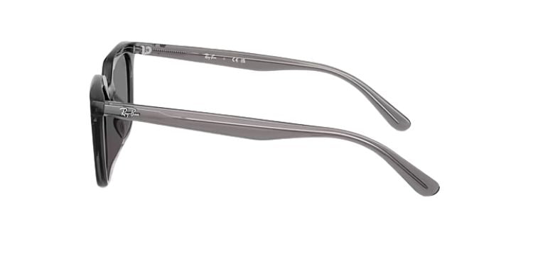 Ray-Ban-4439D-Transparent-Grey-Dark-Grey-04