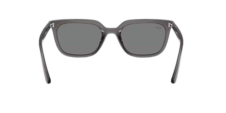 Ray-Ban-4439D-Transparent-Grey-Dark-Grey-03