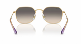 Ray-Ban Junior 9594S Gold/ Grey Gradient