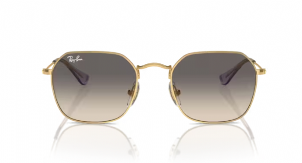 Ray-Ban Junior 9594S Gold/ Grey Gradient