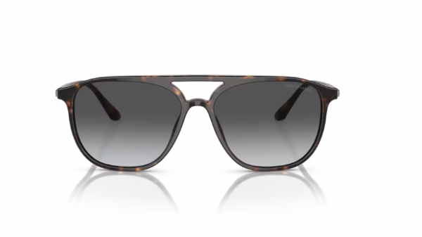 Giorgio Armani 8179 Havana/ Gradient Grey