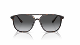 Giorgio Armani 8179 Havana/ Gradient Grey